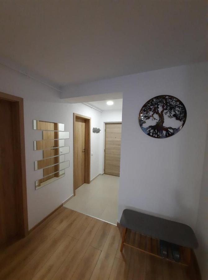 Sorin'S Comfortable Apartment Brașov Exterior foto